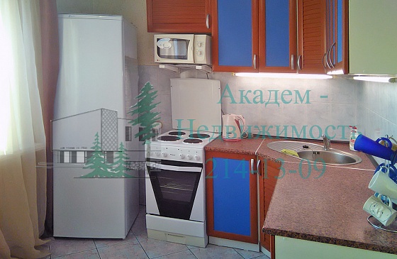 Снять однокомнатную квартиру на Демакова 18 в Нижней зоне Академгородка