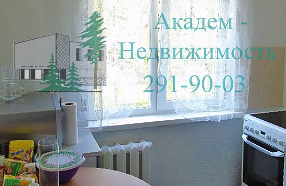 Купить однокомнатную квартиру в Академгородке на Академической 38