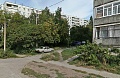 Как снять квартиру в аренду в Академгородке Новосибирска