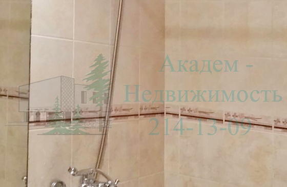 Как купить квартиру в Академгородке в районе станции Сеятель
