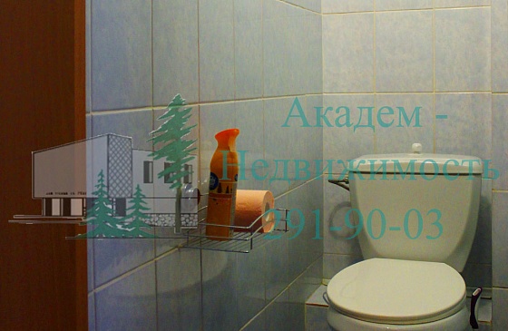 Купить трехкомнатную квартиру в Академгородке Нижняя зона на Иванова