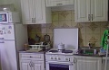 Сдам 1 комнатную квартиру в Академгородке Новосибирска Вяземская 2