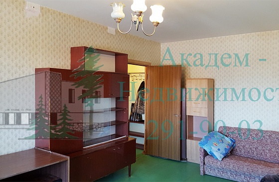 Арендовать квартиру в Академгородке на улице Демакова рядом с технопарком можно здесь