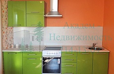Как снять однокомнатную квартиру в новом доме на Шлюзе Как снять однокомнатную квартиру в новом доме на Шлюзе