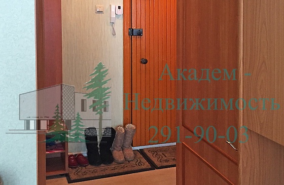 Купить трёхкомнатную квартиру в Академгородке на Лесосечной