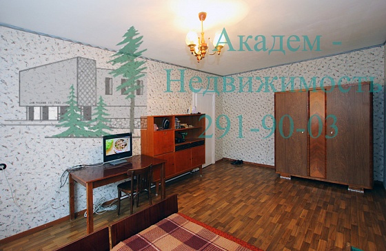 Купить однокомнатную квартиру в Академгородке возле гимназии Горностай