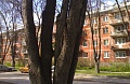 Снять однокомнатную квартиру в Академгородке, Верхняя зона