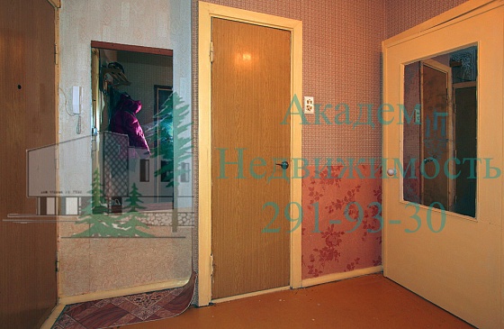 Квартира однокомнатная, Шлюзы, Советский район