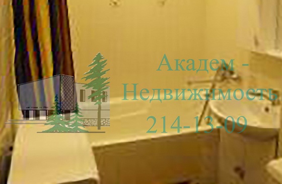 Снять однокомнатную квартиру на Цветном проезде  Академгородка