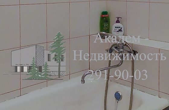 Купить однокомнатную квартиру в Академгородке после ремонта в Нижней Ельцовке