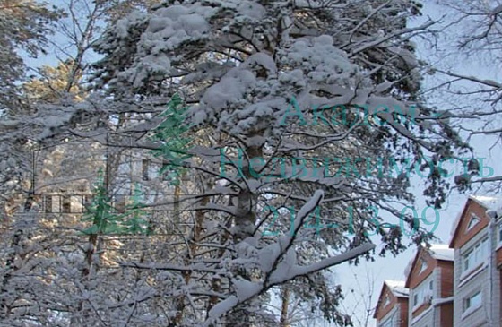 Снять элитную квартиру на Зеленой Горке рядом с Академгородком
