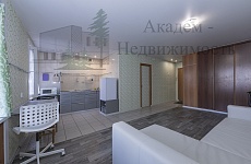 Снять однокомнатную квартиру студию в Академгородке возле станции Сеятель.