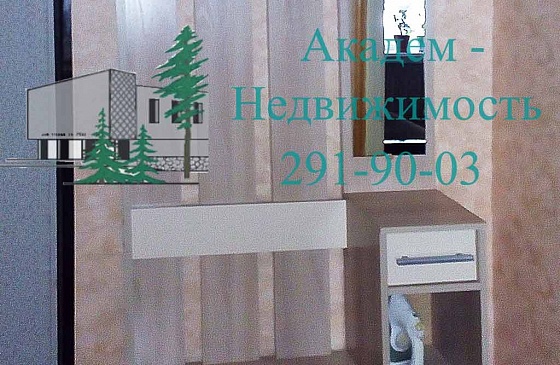 Снять однокомнатную квартиру в Нижней зоне Академгородка 8