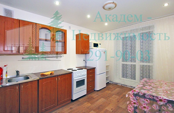 Купить квартиру в Академгородке в новом доме с ремонтом на шлюзе