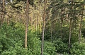 Вид из окна с парковкой