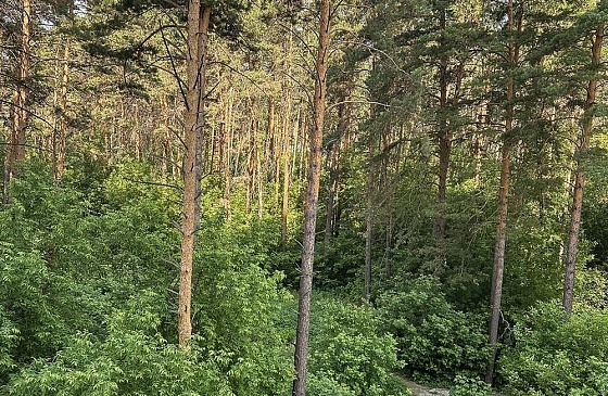 Вид из окна с парковкой