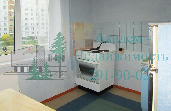 Снять квартиру в Академгородке Новосибирска на Экваторной