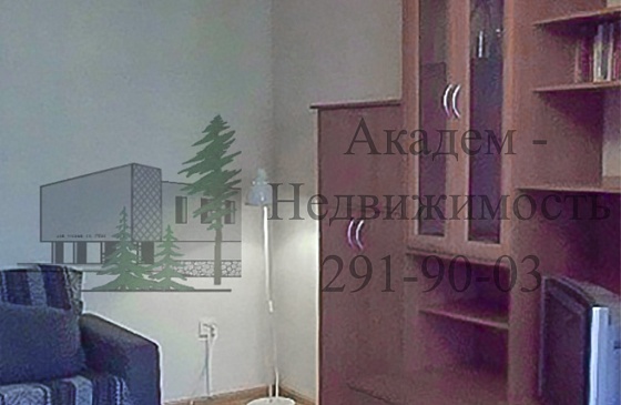 Снять квартиру в Академгородке на Академической 38 рядом с институтами