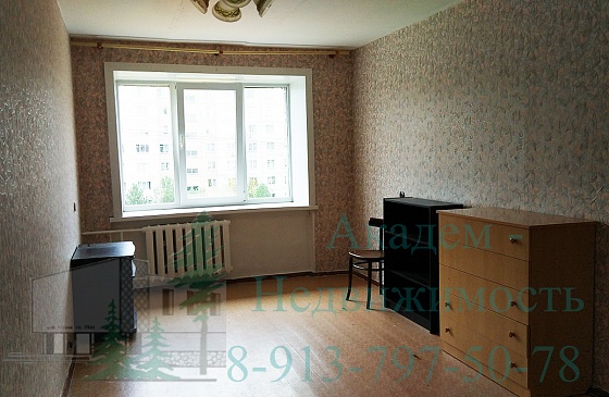 Как снять 2 комнатную квартиру в Новосибирском Академгородке на Арбузова 1