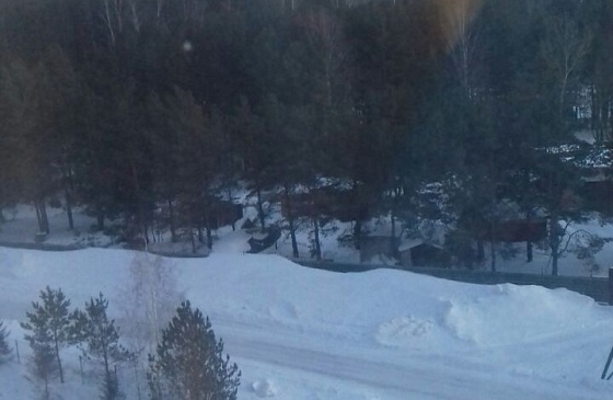 Снять двухкомнатную квартиру в Академгородке в новом доме на Шлюзе