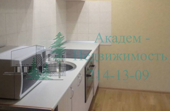 Снять однокомнатную в Ельцовке  на Экваторной 14
