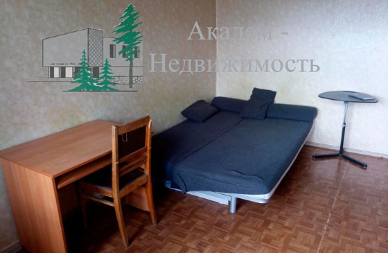 Снять однокомнатную квартиру в Академгородке Нижняя Ельцовка не дорого