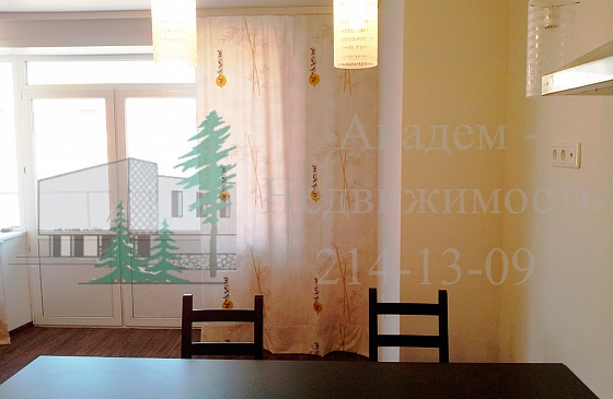 Как снять квартиру в Академгородке на Шлюзе с отличным ремонтом