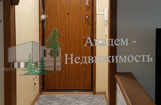 Снять трехкомнатную квартиру в Академгородке рядом с НГУ