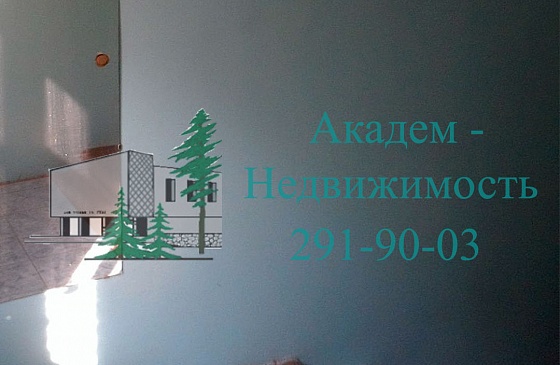 Продажа двухкомнатной квартиры на вторичном рынке недвижимости в Академгородке Новосибирск