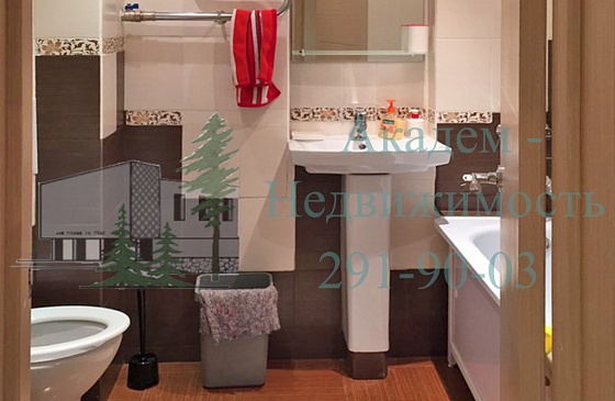новая квартира в аренду в Академгородке на шлюзе