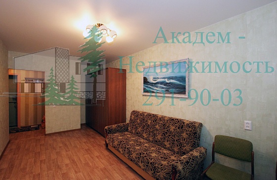 Посуточные квартиры в Академгородке Новосибирска можно снять на сайте Академ-Недвижимость