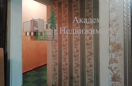 Снять однокомнатную квартиру в Академгородке на российской не дорого