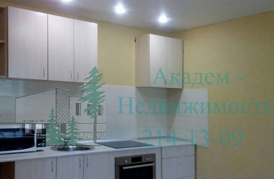 Снять однокомнатную в Ельцовке  на Экваторной 14