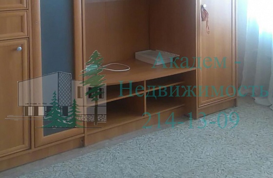 Снять однокомнатную квартиру в Нижней Ельцовке на Лесосечной 7