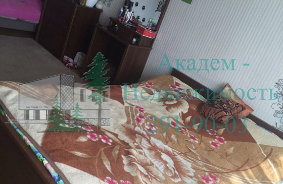 Арендовать квартиру на Сеятеле Академгородка Новосибирска