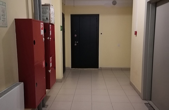 Квартира студия посуточно в Академгородке Новосибирска