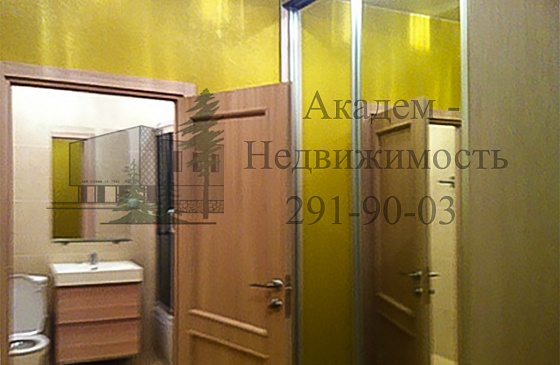 Купить квартиру в Академгородке в новом кирпичном доме рядом с о школой Горностай