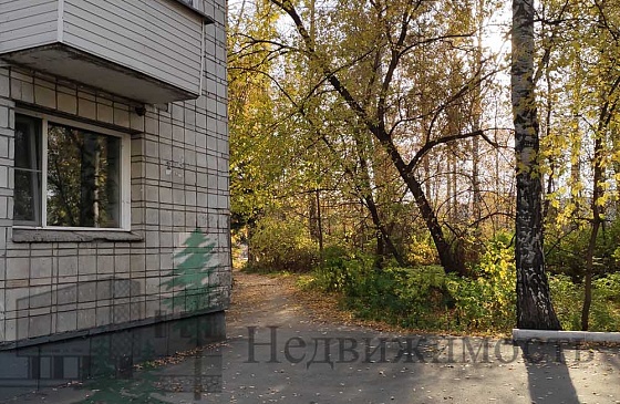 Снять двухкомнатную квартиру возле Университета в Академгородке