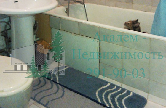 Аренда двухкомнатной квартиры в Академгородке возле бизнесцентра на Бульваре Молодёжи