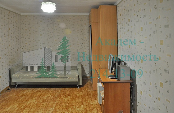 Снять однокомнатную квартиру в Академгородке на Академической 23