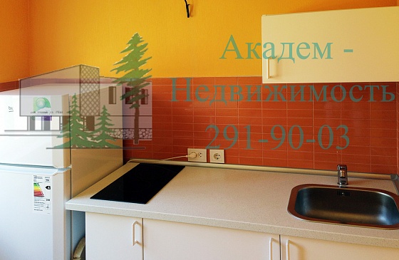 Как снять однокомнатную квартиру в Академгородке возле НГУ и торгового центра