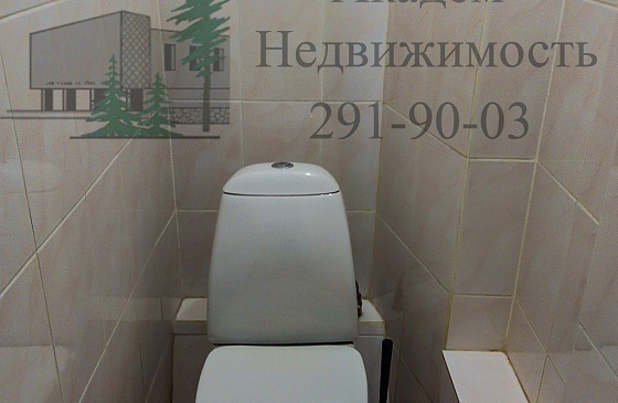 Снять двухкомнатную в Академгородке рядом с гимназией Горностай на Полевой 6