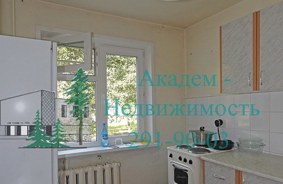 Как снять однокомнатную квартиру в Академгородке на Академической