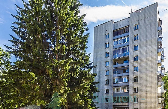 Снять двухкомнатную в Академгородке без мебели в хорошем состоянии на Ильича