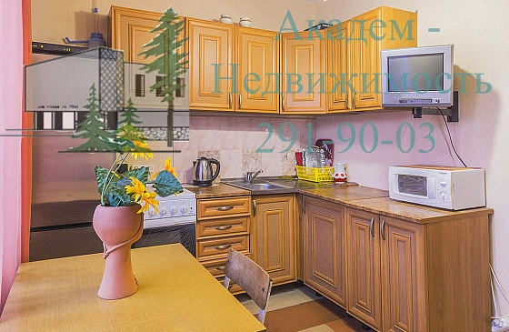 Квартиру посуточно в Академгородке Новосибирска рядом с Мешалкино