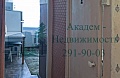 Как снять 1 комнатную квартиру в районе Сеятеля в Академгородке Новосибирска на Российской