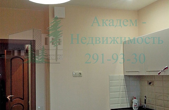 Снять однокомнатную квартиру на Шлюзе в новом доме, Академгородок