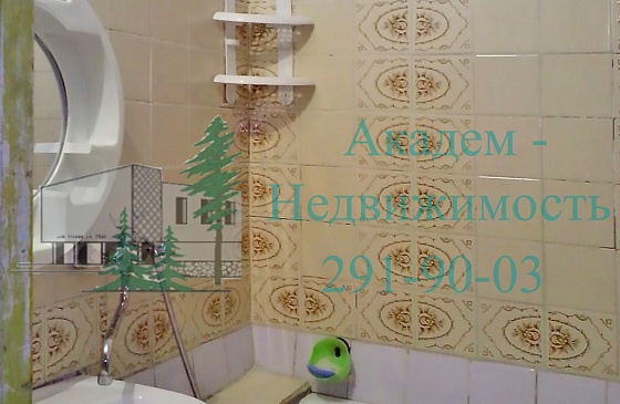 Снять двухкомнатную квартиру в Академгородке на Полевой