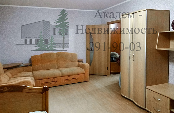 Снять однокомнатную квартиру в Академгородке Нижняя Ельцовка на Лесосечной с мебелью и бытовой техникой