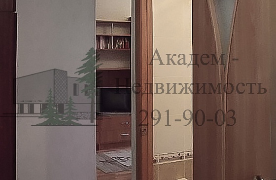 Снять квартиру в Академгородке на Академической 38 рядом с институтами